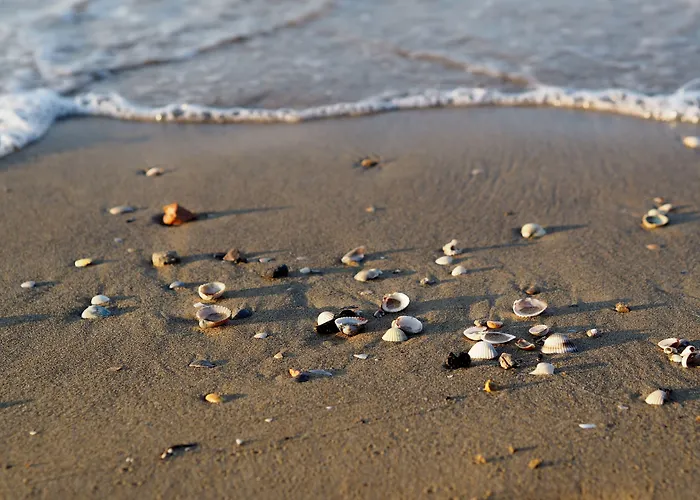 Apartman Modern And Comfy Flat Near The Sea *